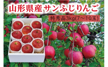 《先行予約 2024年度発送》【山形県産】サンふじりんご特秀品3kg  りんご リンゴ 林檎 デザート フルーツ 果物 くだもの 果実 食品 山形県 FSY-0408