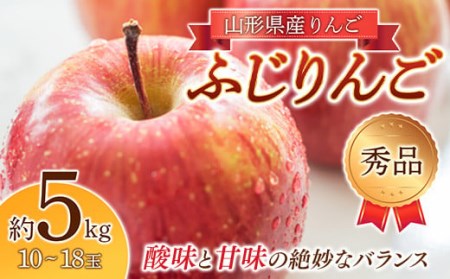 [2024年先行予約]りんご「ふじりんご」秀品 10~18玉 5kg