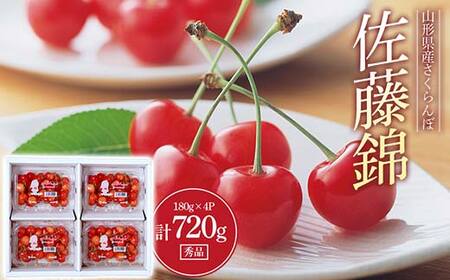 s2026Ns\t  Gi 180g×4pbN LTCYȏ FSY-0561