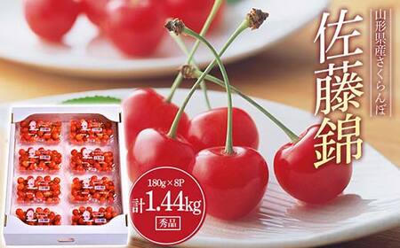 s2026Ns\t  Gi 180g×8pbN LTCYȏ FSY-0563