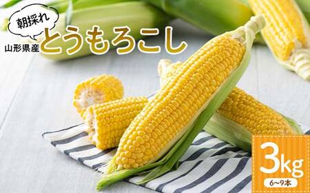 [長岡ファーム]≪2025年先行予約≫ 農家直送 山形県産 朝採れ とうもろこし 3kg(6〜9 本) 2025年8月上旬から順次発送 とうきび トウキビ トウモロコシ コーン 野菜 食品 山形県
