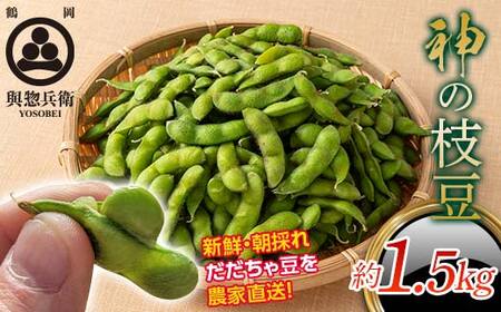 2026Ns\yoyqzR`Y _̎} ᓤ 1.5kg 2026N8{珇 F2Y-5461