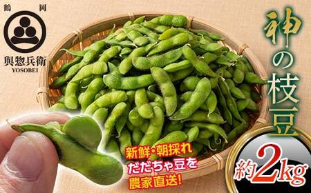 2026Ns\yoyqzR`Y _̎} ᓤ 2kg 2026N8{珇 F2Y-5462