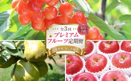 ss\2026Ntv~At[c ցiځEmEtXETӂ񂲁j FSY-2367