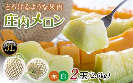【2026年発送 先行予約】庄内メロン 紅白セット 2玉 3L 2.6kg 青肉メロン メロン 青肉 デザート フルーツ 果物 くだもの 果実 食品 山形県 FSY-0585