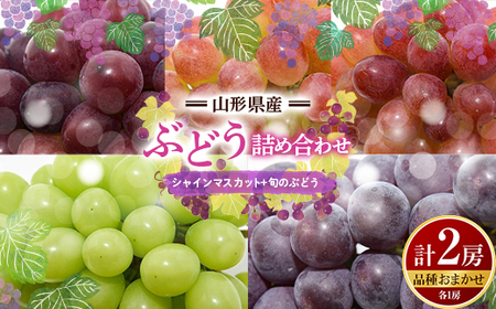 [先行予約2026年度発送]山形県産 ぶどう 詰め合わせ (シャインマスカット1房+品種おまかせ1房 計2房) マスカット ブドウ 葡萄 デザート フルーツ 果物 くだもの 果実 食品 山形県