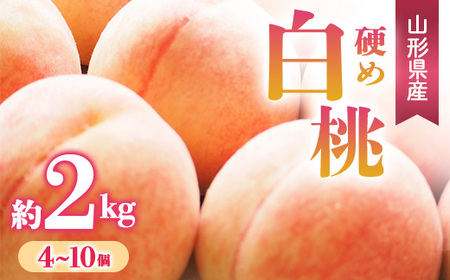 【先行予約 令和7年度発送】硬め白桃 約2kg（4～10玉）品種おまかせ もも モモ 桃 デザート フルーツ 果物 くだもの 果実 食品 山形県 FSY-0664