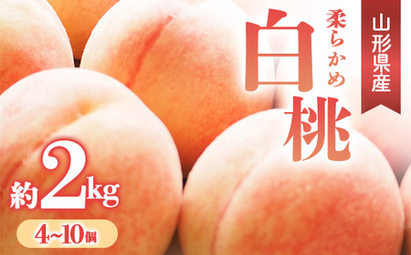 【先行予約 令和7年度発送】柔らかめ白桃 約2kg（4～10玉） 品種おまかせ もも モモ 桃 デザート フルーツ 果物 くだもの 果実 食品 山形県 FSY-0665