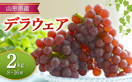 【先行予約 令和8年度発送】山形県産 デラウェア 2kg FSY-2387