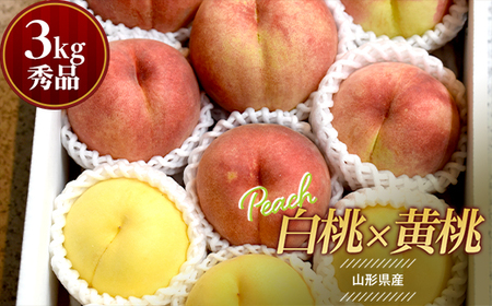 [先行予約 2025年8月中旬発送]山形県産 白桃×黄桃 秀品 約3kg もも モモ 桃 デザート フルーツ 果物 くだもの 果実 食品 山形県