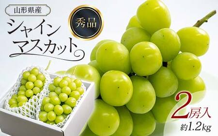ys\ 2025NxzVC}XJbg 2[ 1.2kg }XJbg Ԃǂ uhE  fU[g t[c ʕ  ʎ Hi R` FSY-0737