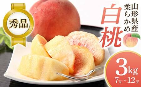 [2025年先行予約]柔らかめ白桃 3kg(7玉〜12玉)秀品