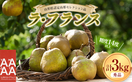 ys\i2025Nxjzx14xȏ m uR`ZNV EtXv3kg Ȃ iV  fU[g t[c ʕ  ʎ Hi R` FSY-1912