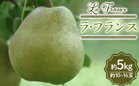 山形県産 ラ・フランス 約5kg 10～16玉 FSY-0844