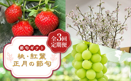 節句ギフト 『桃・紅葉・正月の節句』 定期便3回