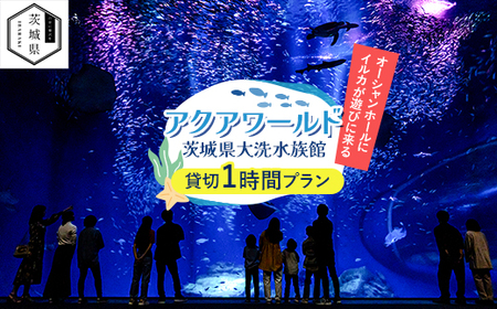 アクアワールド茨城県大洗水族館 貸切1時間プラン(オーシャンホールにイルカが遊びに来る)_旅行券・チケット 水族館 入場券・優待券 旅行券・チケット 体験チケット _[配送不可地域:離島・沖縄県]
