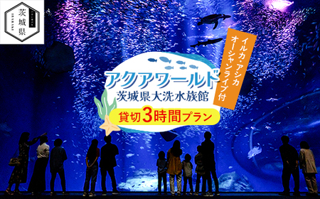 アクアワールド茨城県大洗水族館 貸切3時間プラン(イルカ・アシカオーシャンライブ付)_旅行券・チケット 水族館 入場券・優待券 旅行券・チケット 体験チケット _[配送不可地域:離島・沖縄県]