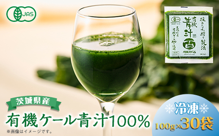 ベルファームの冷凍有機青汁百 茨城県産ケール100% 100g×30袋 【離島・沖縄配送不可】_飲料・ドリンク 野菜ジュース ジュース _【配送不可地域：離島・沖縄県】【1443688】