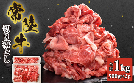 y헤z؂藎Ƃ 1kg (500g×2)_ 헤   r[t_yzsnFEꌧzy1446058z