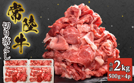 y헤z؂藎Ƃ 2kg (500g×4)_ 헤   r[t_yzsnFEꌧzy1446060z