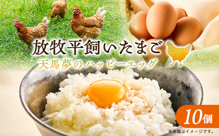 天馬夢のハッピーエッグ　10個_卵・乳製品 卵  たまご タマゴ 玉子_【配送不可地域：離島・沖縄県】【1556143】
