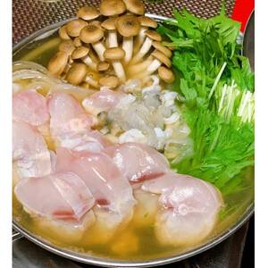 [河内河豚]トラフグてっちり錦ふぐぽんすセット_魚介・海産物 ふぐ 鮮魚 フグ 河豚 調味料 _[配送不可地域:離島・沖縄県]