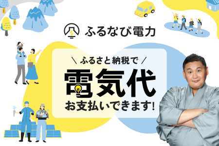 [ふるなび電力ポイント]茨城県(県庁)電気代をふるさと納税で払える無期限ポイント