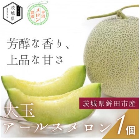 [優秀賞受賞農家直送]鉾田市産 アールスメロン 2.0kg以上×1玉(※26年8月〜発送予定)_アールス メロン 鉾田市産_[配送不可地域:離島・沖縄県]