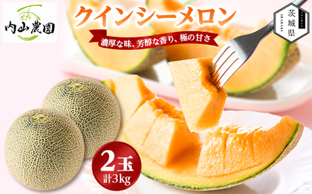 yR_z΂炫ReXg2025NCV[(23kg)2026N5蔭JnyzsnFEꌧzy1645300z