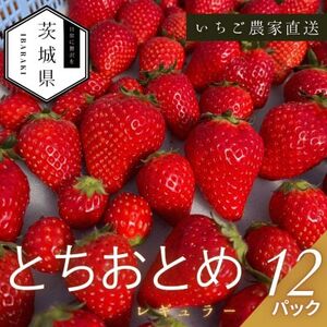 y2026N1菇\z ƂƂ M[ 250g×12pbNyzsnFEkCEꌧzy1647795z