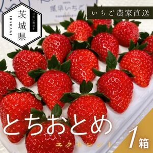 y2026N1菇\z ƂƂ GNZg 1(12or15)yzsnFEkCEꌧzy1647799z
