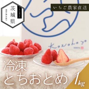  ƂƂ Ⓚ1kg ^Ⓚ ۑyzsnFEꌧzy1647800z