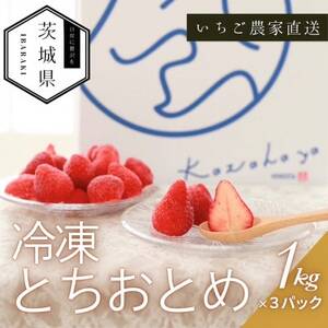 風早いちご園 とちおとめ 冷凍いちご3kg(1kg×3パック) 真空冷凍 長期保存【配送不可地域：離島・沖縄県】【1647802】