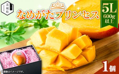 錧Y Ȃ߂vZX}S[5Ly600gȏz1yzsnFEꌧzy1647814z