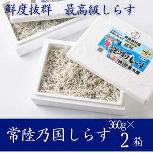 ɑN E 헤T炷ug炷v 720g(360g×2) ⓀցyzsnFEꌧzy1649350z