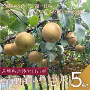 ystz2026N9 ORʎ 錧 uh b5kgyzsnFEꌧzy1668040z