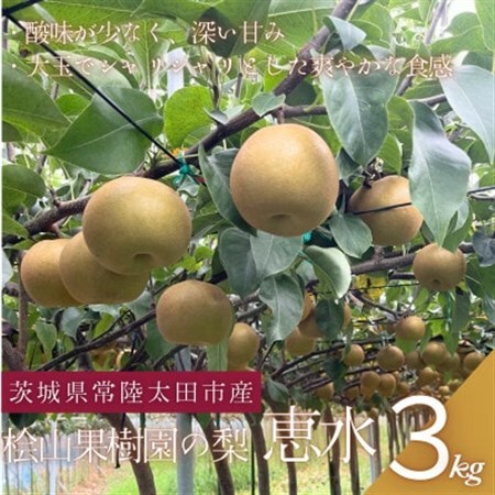 [先行受付]2026年9月順次発送 桧山果樹園 茨城県 ブランド梨 恵水3kg[配送不可地域:離島・沖縄県]