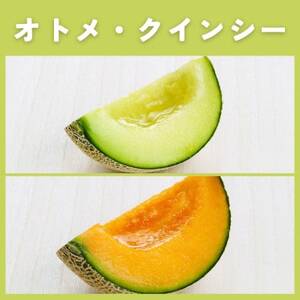 茨城県産オトメ・クインシーメロンセット優品または秀品3L以上2玉入[2026年4月下旬以降順次発送][配送不可地域:離島・北海道・沖縄県・中国・四国・九州]