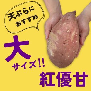 茨城県産 紅優甘・大(1箱約4〜6本入り×2箱セット)1本800g以上![配送不可地域:離島・沖縄県]