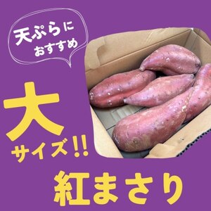 茨城県産 紅まさり・大(1箱約4〜6本入り×2箱セット)1本800g以上![配送不可地域:離島・沖縄県]