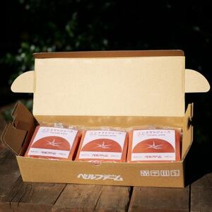 �x���t�@�[���̗Ⓚ�g�}�g�W���[�X ���Y�g�}�g100% 100g×15�� �y�����E����z���s�z�y�z���s�n��F�����E���ꌧ�z�y1691755�z