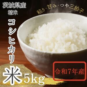 �y��錧�Y�z2025�N�V�� ��錧�Y �R�V�q�J����(����)5kg�y�z���s�n��F�����E���ꌧ�z�y1696591�z