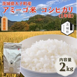 令和7年産新米 アミーゴ米2kg(コシヒカリ・天日干し米(1年目))栽培期間中農薬・化学肥料不使用[配送不可地域:離島・沖縄県]