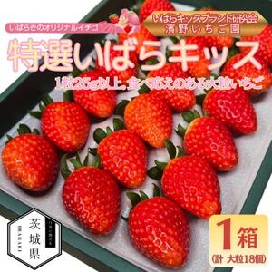 茨城県産いちご 茨城県オリジナル品種 [特選いばらキッス]計18粒(1箱)大粒・厳選 濱野いちご園[配送不可地域:離島・北海道・沖縄県・中国・四国・九州]