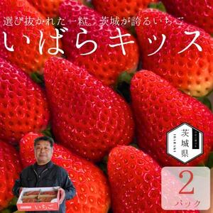 特別栽培農産物 いばらキッス 2パック 茨城県オリジナルブランドいちご[拓実の会(濱野いちご園)][配送不可地域:離島・沖縄県]
