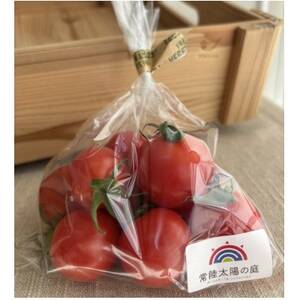 フルーツトマト1kg[配送不可地域:離島・沖縄県]