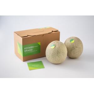 KOTARO-BRAND イバラキングメロン 4Lサイズ 2玉[配送不可地域:離島・沖縄県]