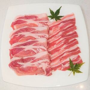 a؂Ԃ[XEo@XCXZbgyzsnFzy1354761z