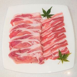 a؂Ԃ[XEo@ԂԃZbgyzsnFzy1358029z