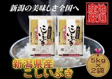[産地厳選]新潟県産こしいぶき 5kg×2袋